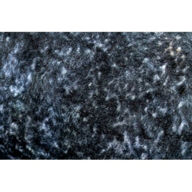 ANDRE 1058 plaunamas kilimas Ornamentas, neslystantis - juoda / mėlyna 3